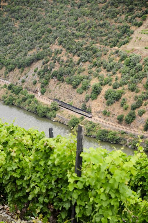 Hotel Rural Quinta Do Pego Tabuaço Εξωτερικό φωτογραφία
