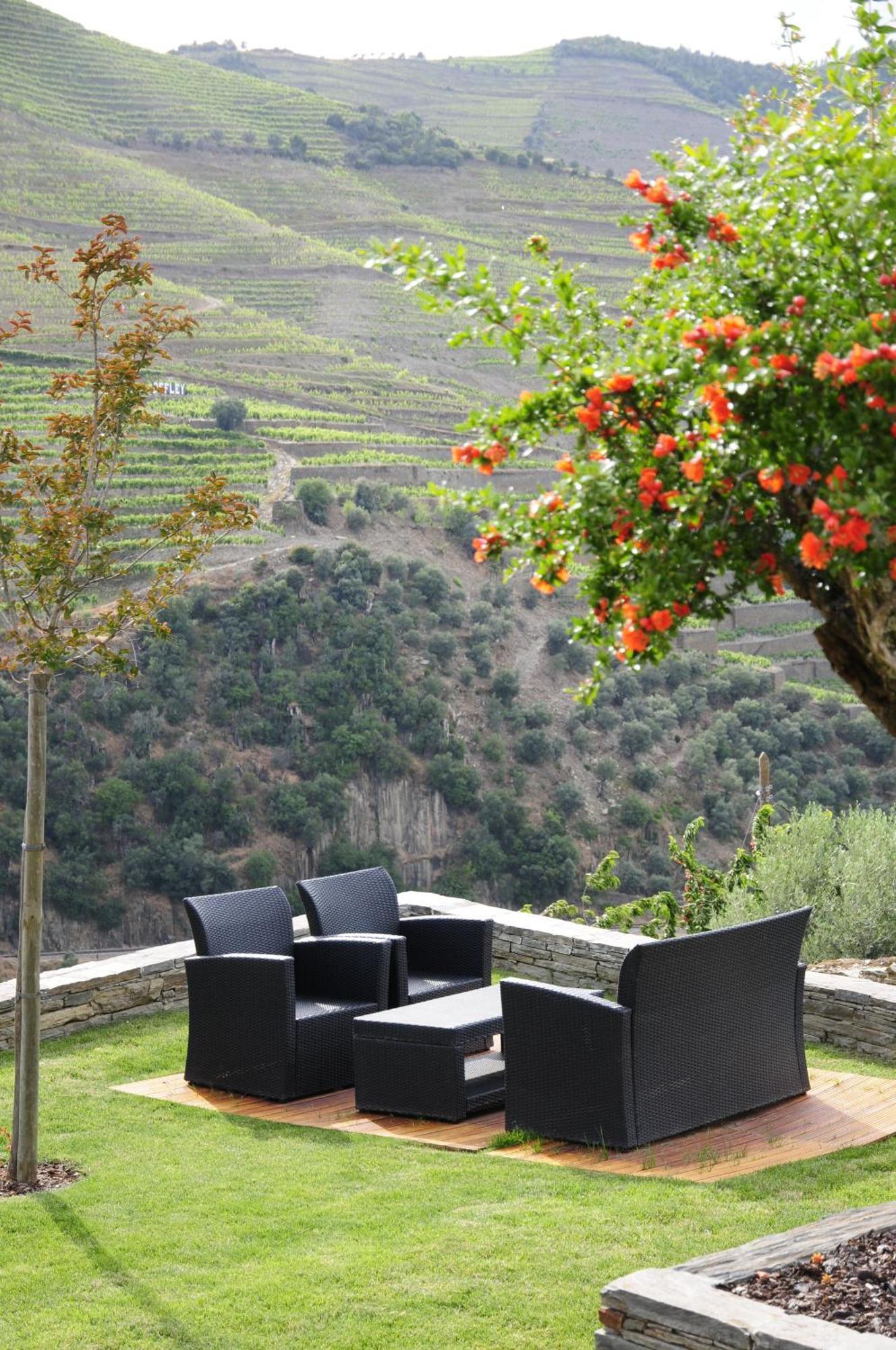 Hotel Rural Quinta Do Pego Tabuaço Εξωτερικό φωτογραφία